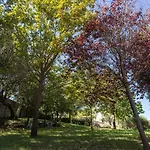 Tenuta Mastricale Con Piscina - Torre Antica E Trullo Villa Putignano