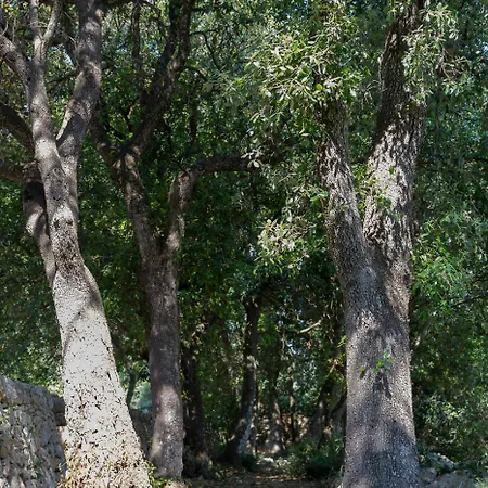 Tenuta Mastricale Con Piscina - Torre Antica E Trullo Putignano