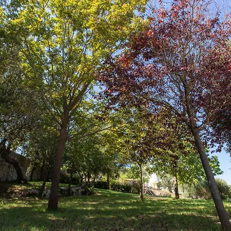 Tenuta Mastricale Con Piscina - Torre Antica E Trullo Villa Putignano